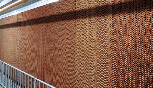 河南民权杨西6000种猪场